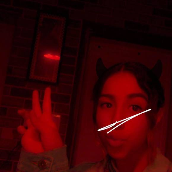 Meet your Posher, Daisy - Picture 1 of 1